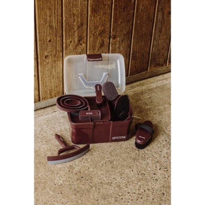 Caixa de Limpeza HIPPOTONIC "Glitter"