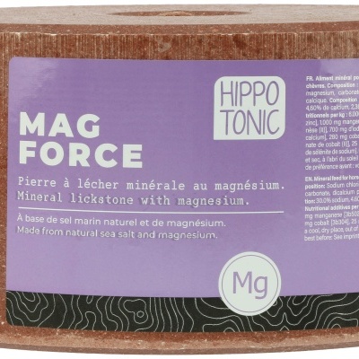 Pedra de Sal HIPPOTONIC "Magforce"