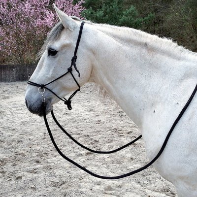 Cabeção Natural c/ Rédeas NORTON