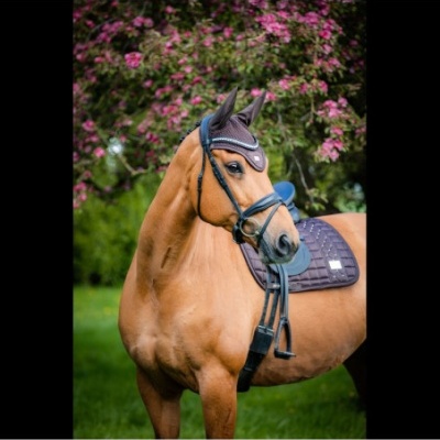 Orelheiras "I am" SD DESIGN