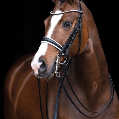 Cabeçada de Freio-bridão HKM 