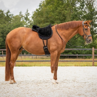 Bareback pad QHP "Super soft"