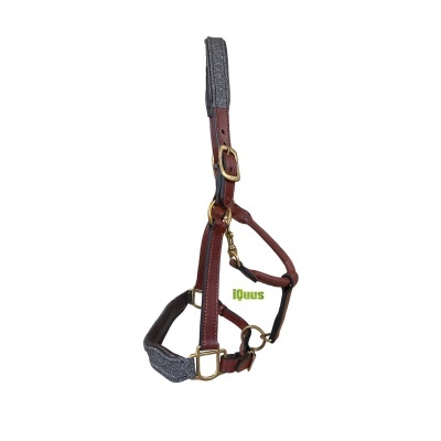 Cabeção IQUUS Glitter