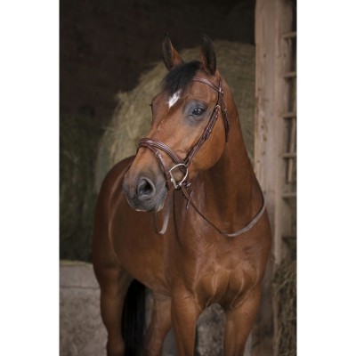 Rédeas de Borracha NORTON PRO "GP"