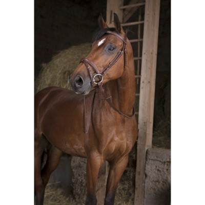 Rédeas de Borracha Larga NORTON PRO