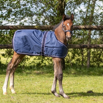 Cobrejão de Exterior p/ Poldro 100g QHP