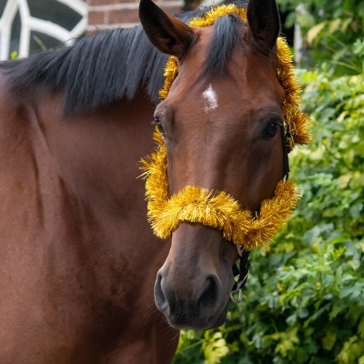 Cabeção Grinalda de Natal QHP