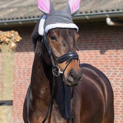 Orelheiras Coelho da Páscoa QHP