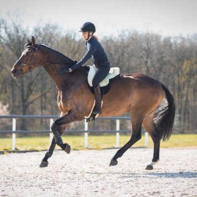 Bareback pad QHP "Super soft"