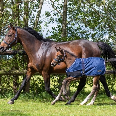 Cobrejão de Exterior p/ Poldro 100g QHP