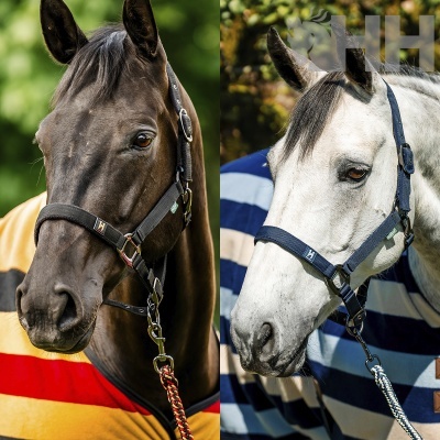 Cabeção + prisão HORSEWARE Newmarket