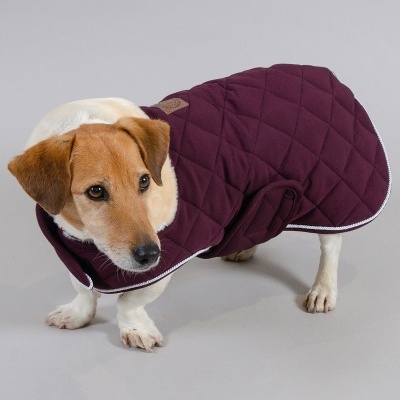 Capa para Cão HARCOUR Rocket