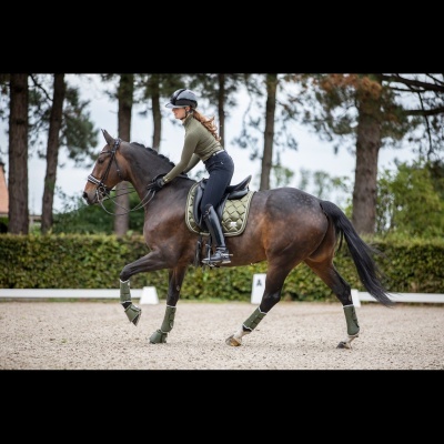 Suadouro de Dressage SD Design "A Million Dreams"