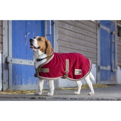 Capa p/ Cão DIEGO & LOUNA "Polyfun"