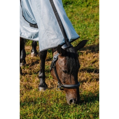 Cobrejão Anti-moscas c/ Pescoço RIDING WORLD "Belly Mesh"