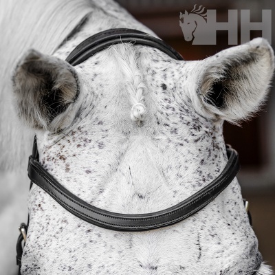 Cabeçada de Bridão HORSEWARE Micklem Competition