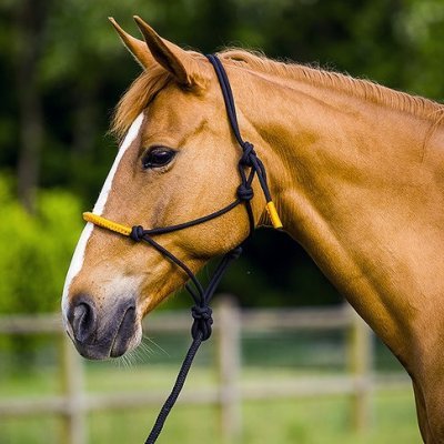 Cabeção de Corda+prisão "Fun Colour" NORTON