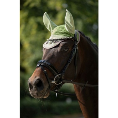 Orelheiras HKM "Golden Bit"