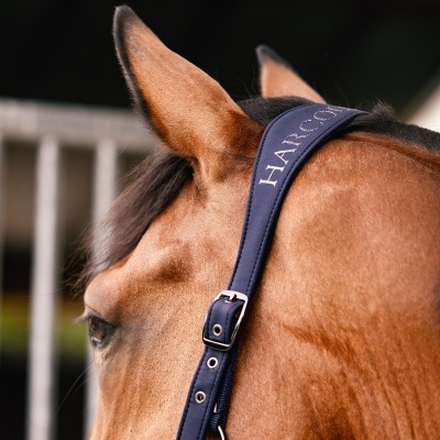 Cabeção + Prisão HARCOUR Hansy