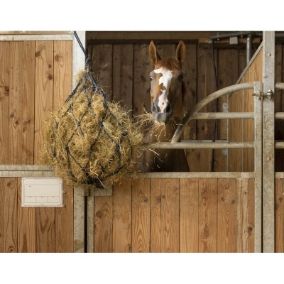 Rede para Feno de Algodão c/ Anilhas HIPPOTONIC