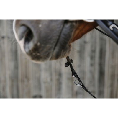 Chambón NORTON PRO "Thiedeman"