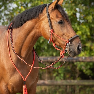 Cabeção de Corda + Neck Rope QHP "Liberty"
