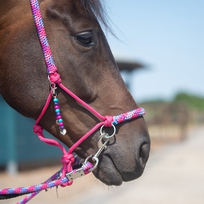 Cabeção de Corda + Neck Rope QHP "Liberty"