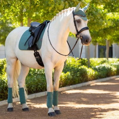 Conjunto de Dressage LEMIEUX Classic
