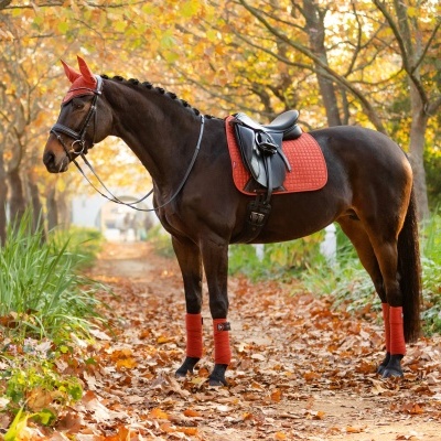Conjunto de Dressage LEMIEUX Classic