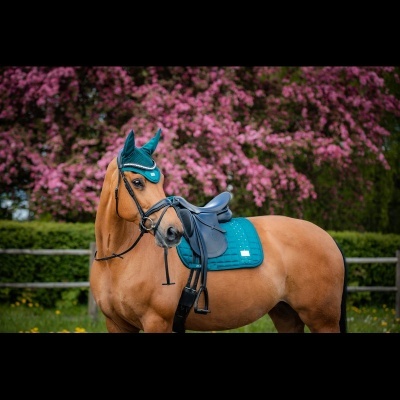 Suadouro Obstáculos SD Design "I am"