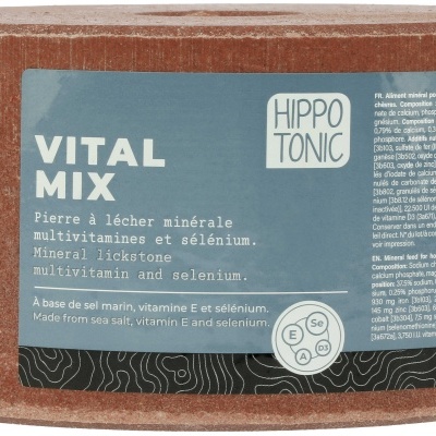 Pedra de Sal HIPPOTONIC "Vitalmix"