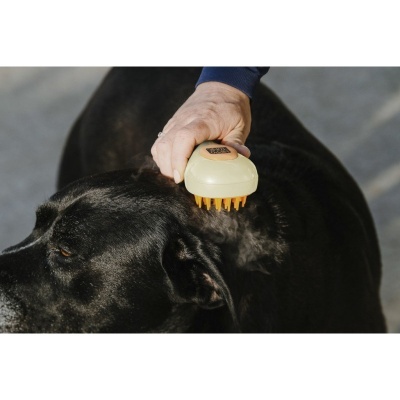 Almofaça HIPPOTONIC "Vapeur"