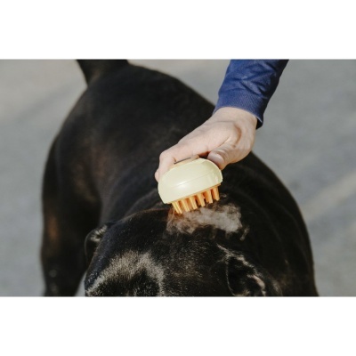 Almofaça HIPPOTONIC "Vapeur"