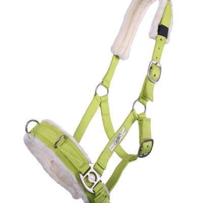 Cabeção de Trabalho QHP