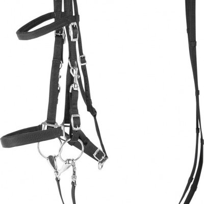 Cabeçada 2 em 1 HARRY'S HORSE