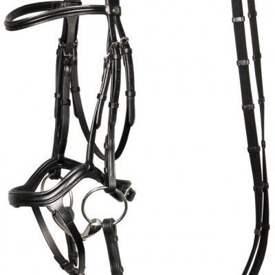 Cabeçada de Bridão HARRY'S HORSE "Anatomic"