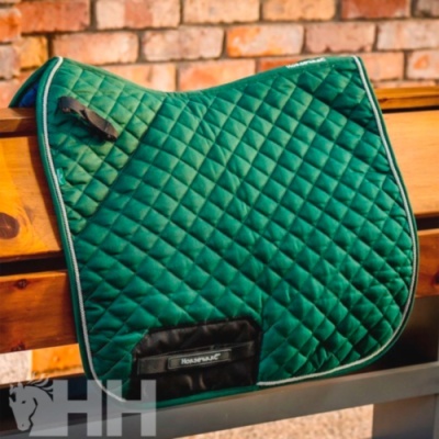 Suadouro Algodão Acolchoado HORSEWARE "Signature"