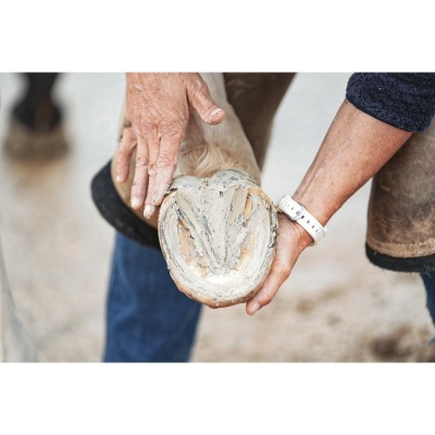 Argila RAVENE Pediplaste