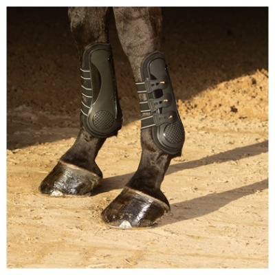 Caneleiras HARRY'S HORSE "Elite-R"