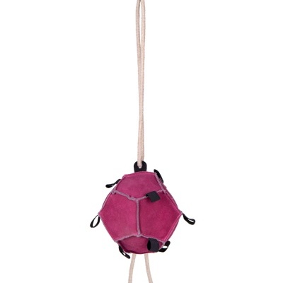 Bola p/ Cenouras QHP