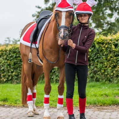 Gorro de Natal p/ Toque QHP 'Hastes de Rena'