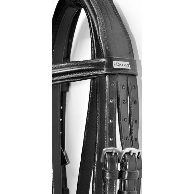 Cabeçada de Bridão IQUUS "Triple"