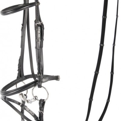 Cabeçada de Bridão HARRY'S HORSE "Bronze"