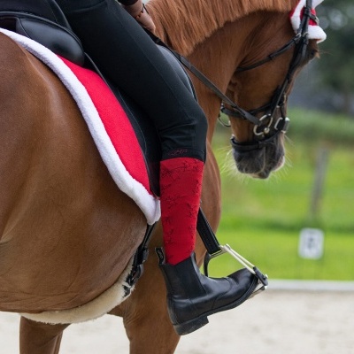 Meias de Natal QHP Christmas (2 pares)