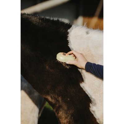 Almofaça HIPPOTONIC "Vapeur"