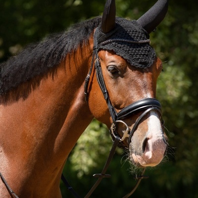 Orelheiras Antirruído QHP "Flore"