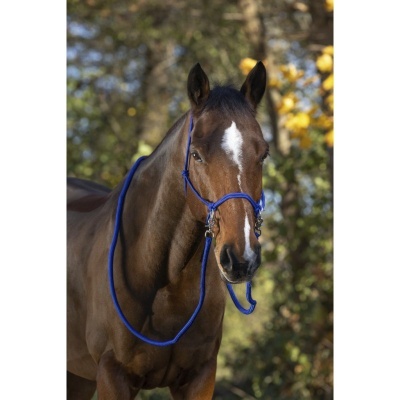 Cabeção Natural c/ Rédeas NORTON