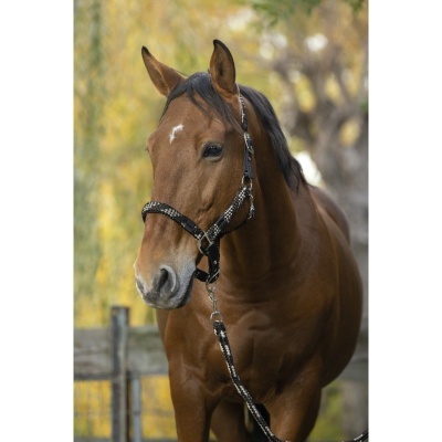 Cabeção + prisão EQUITHÈME "Tressé"