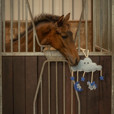 Brinquedo p/ Cavalos QHP Novy