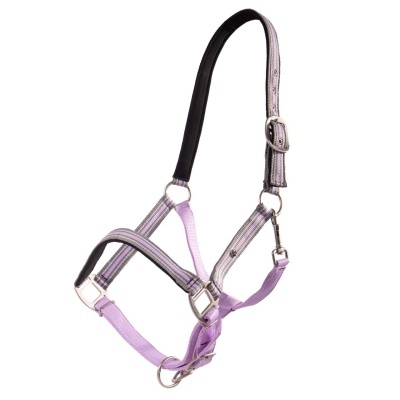 Cabezada para cavalo em nylon lilás com detalhes a preto